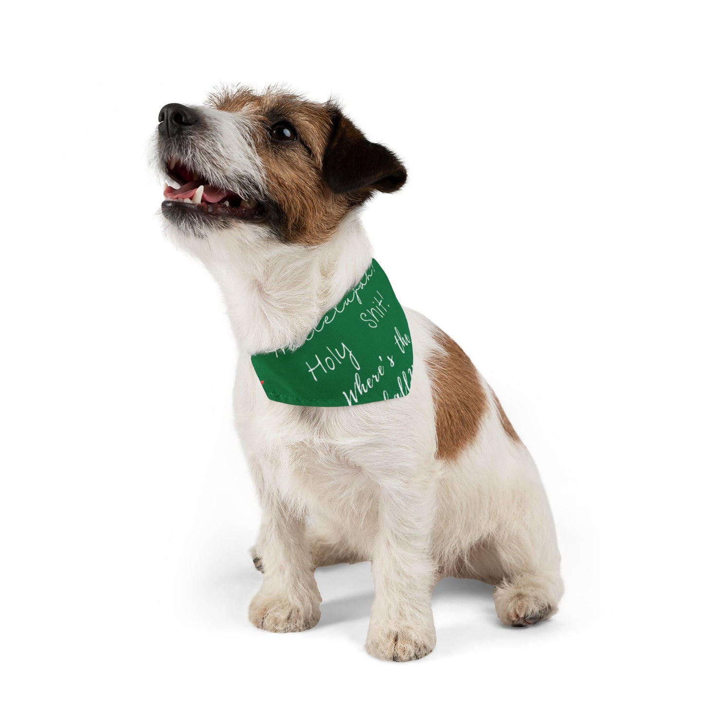 Festive Pet Bandana Collar Xmas Green - Nat'l Lampoon Hallelujah