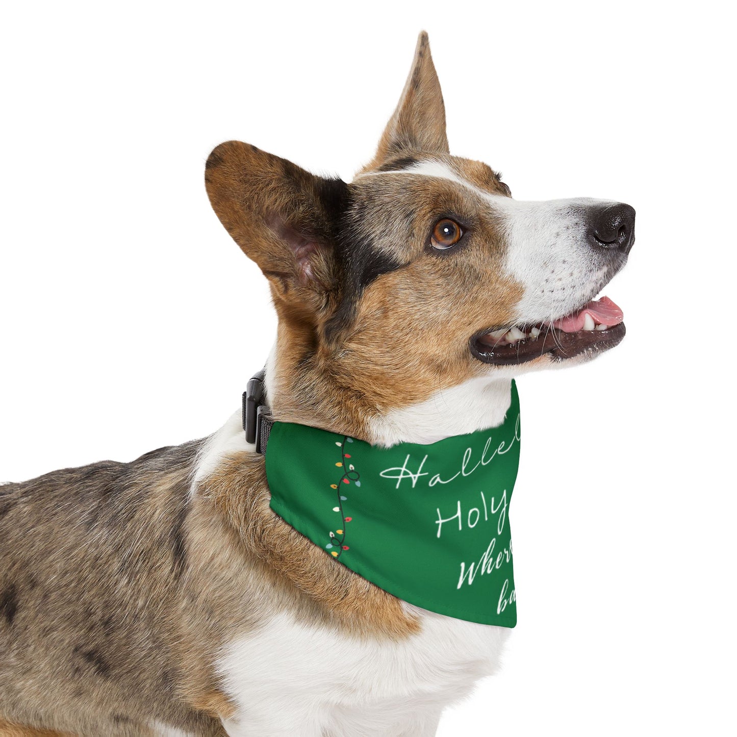 Festive Pet Bandana Collar Xmas Green - Nat'l Lampoon Hallelujah