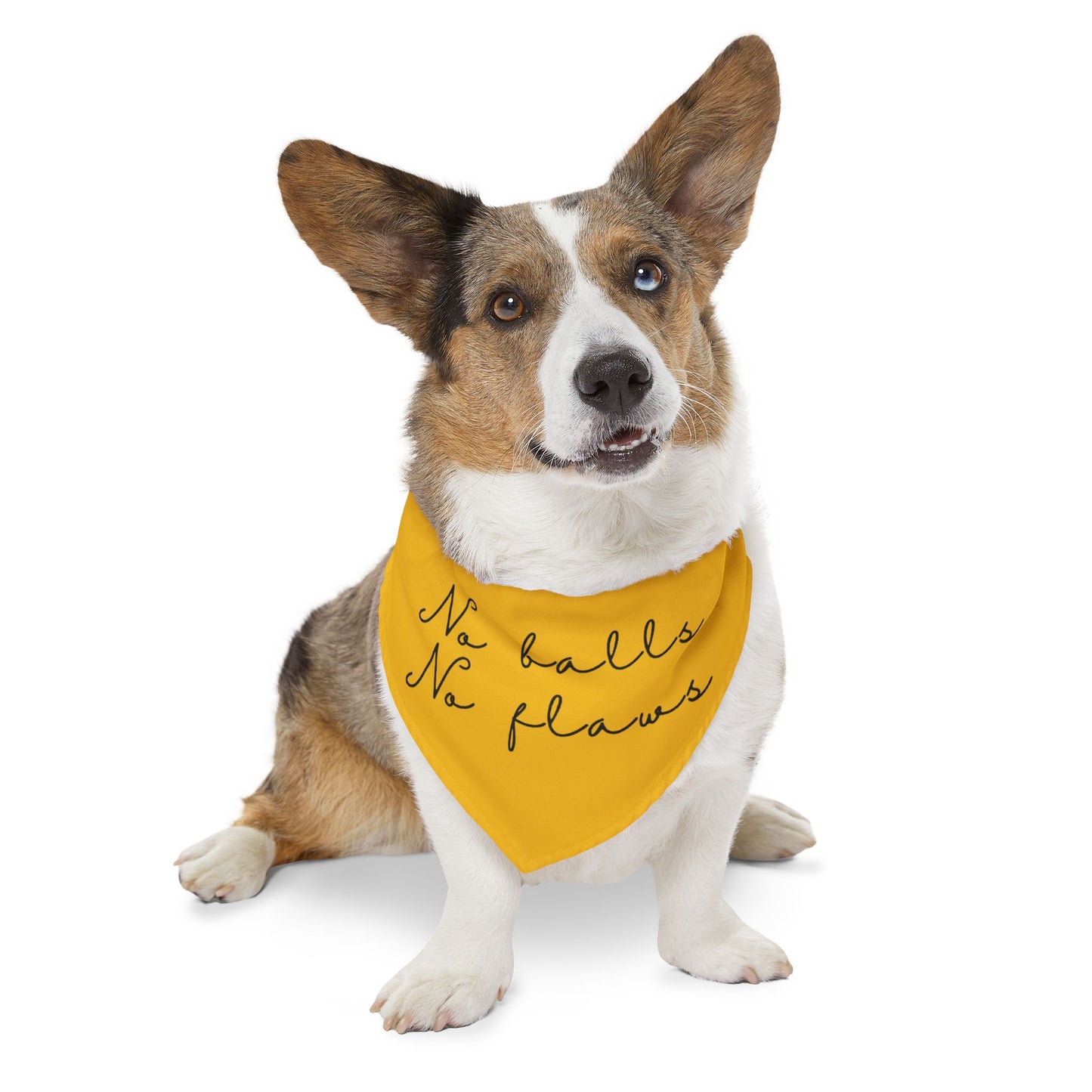 Pet Bandana Collar Marigold - No Flaws No Balls