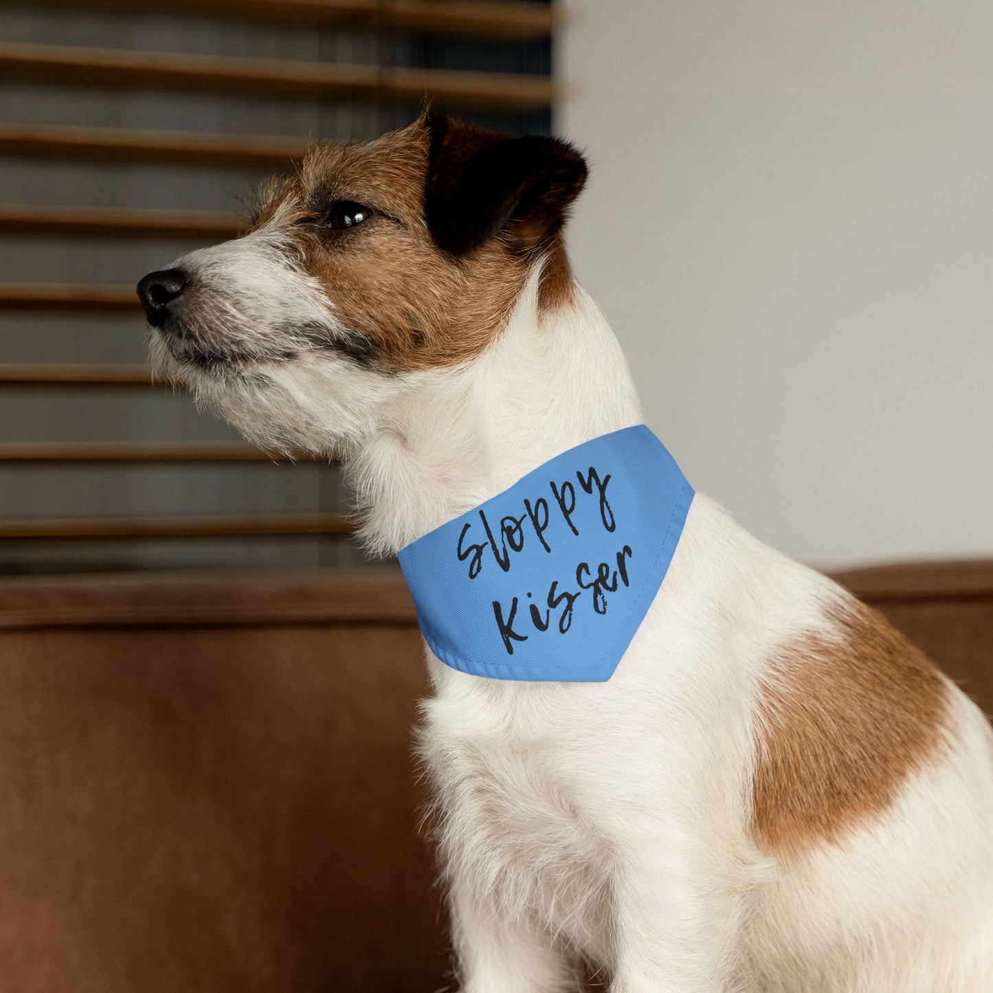 Pet Bandana Collar Teal - Sloppy Kisser