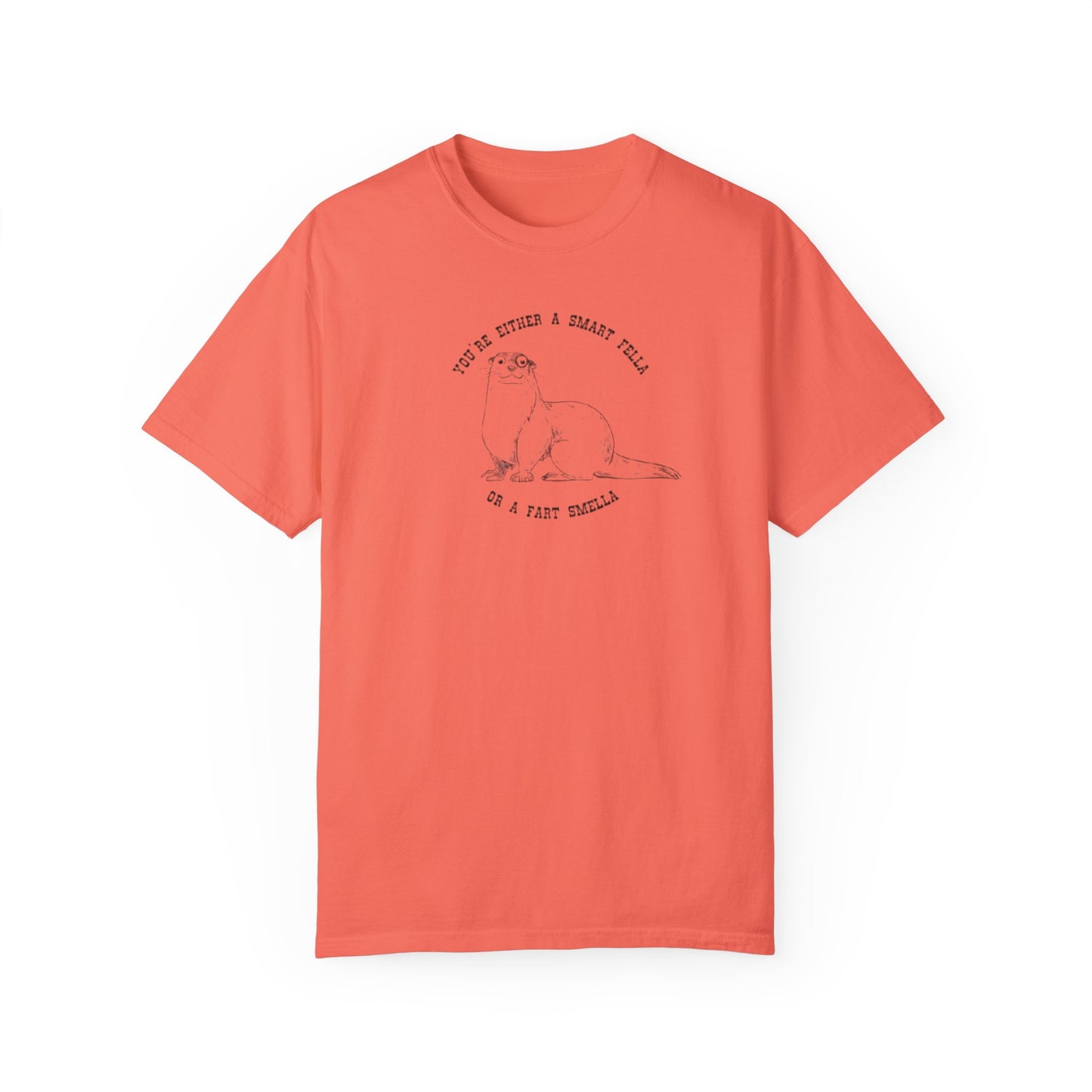 Unisex Garment-Dyed T-shirt - Fart Smella