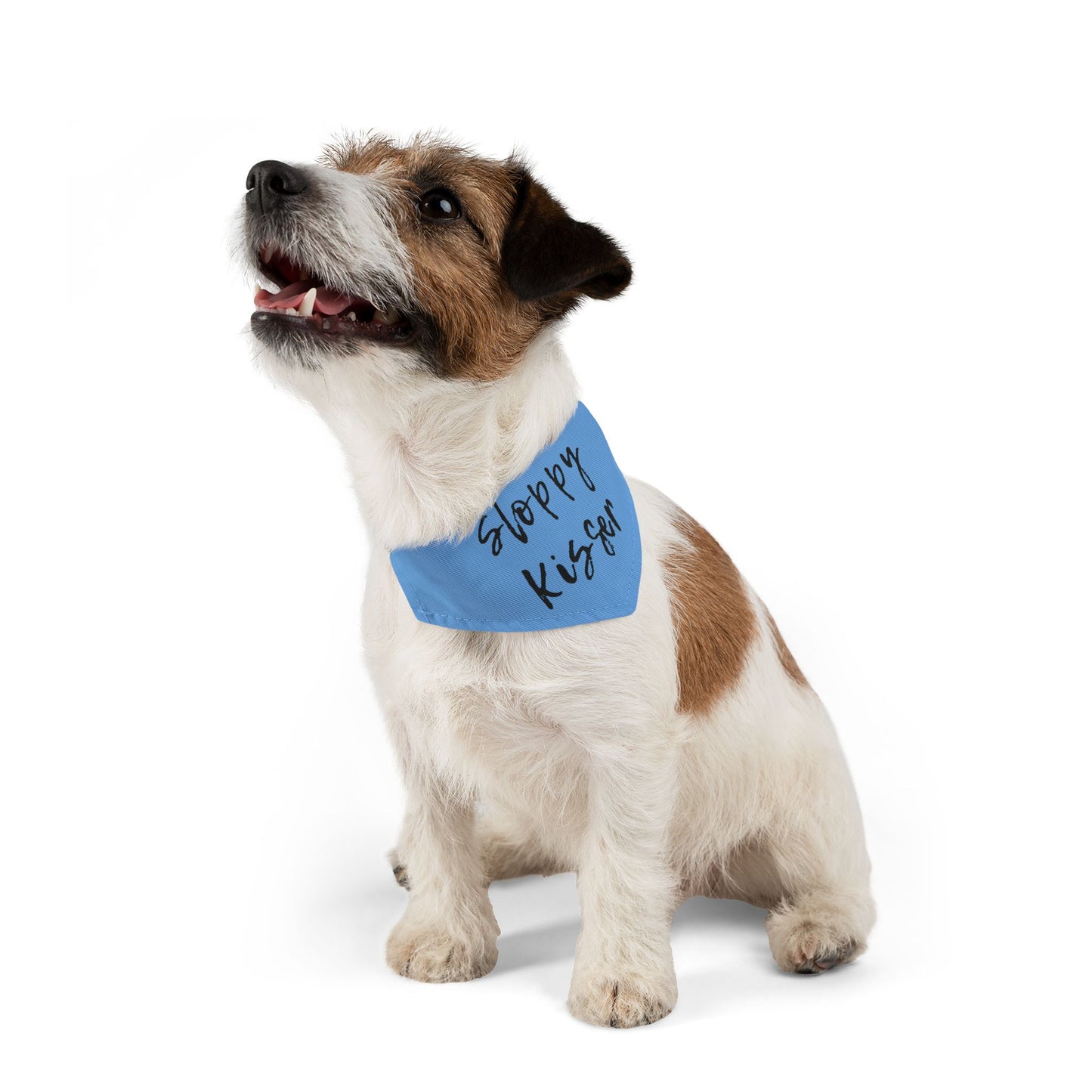 Pet Bandana Collar Teal - Sloppy Kisser