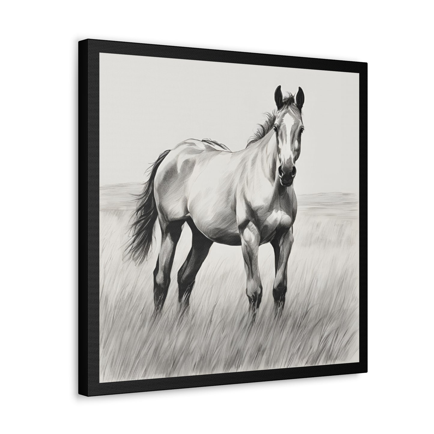 Canvas Gallery Wraps - Horse in the Grass