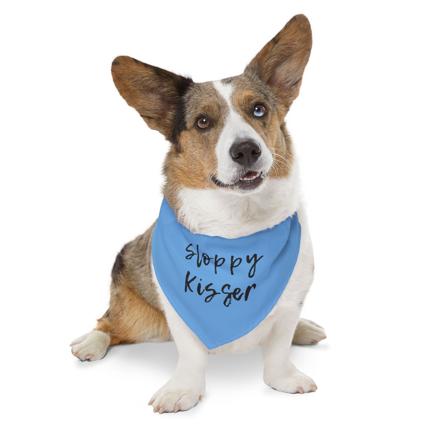 Pet Bandana Collar Teal - Sloppy Kisser