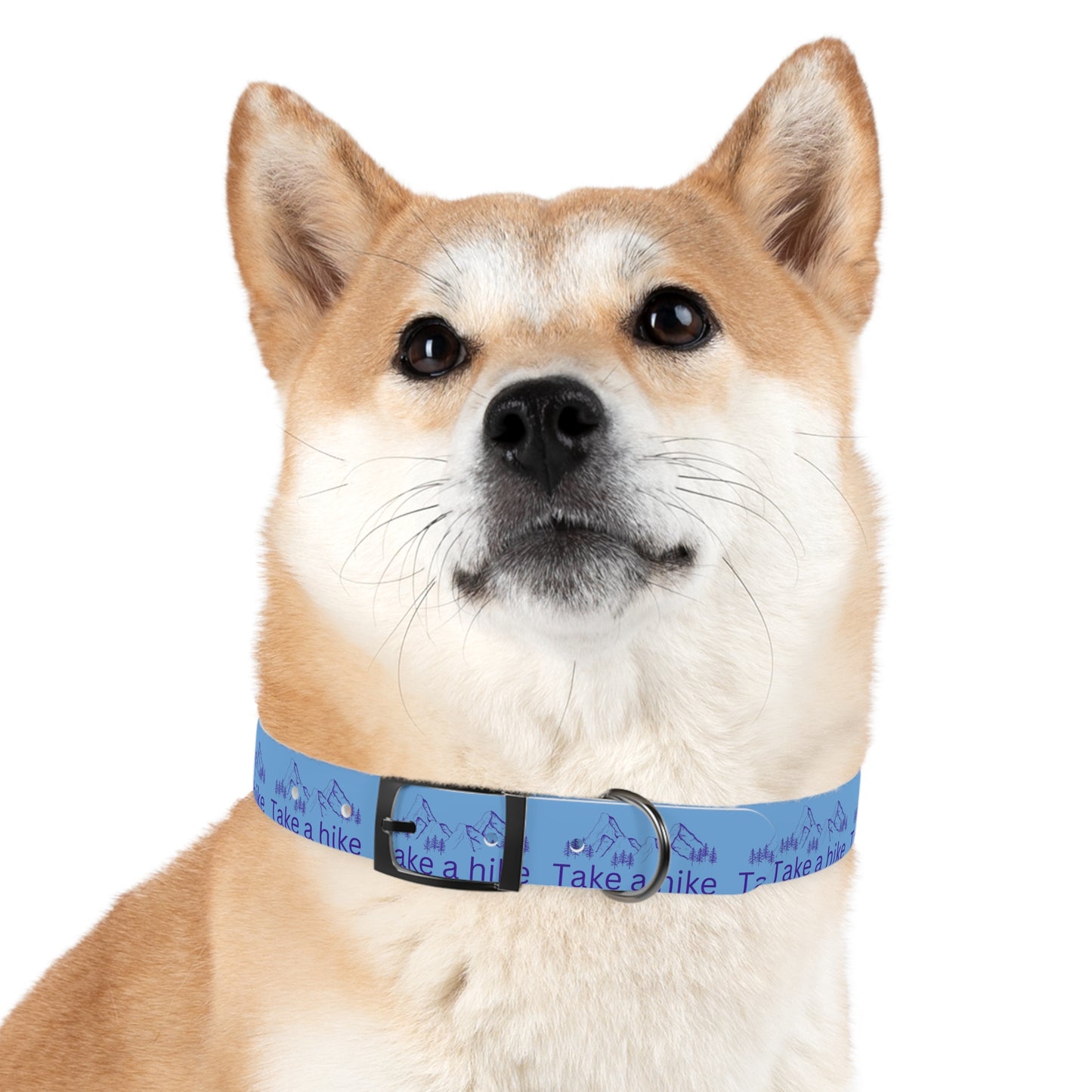 Take a Hike Dog Collar - Teal and Purple