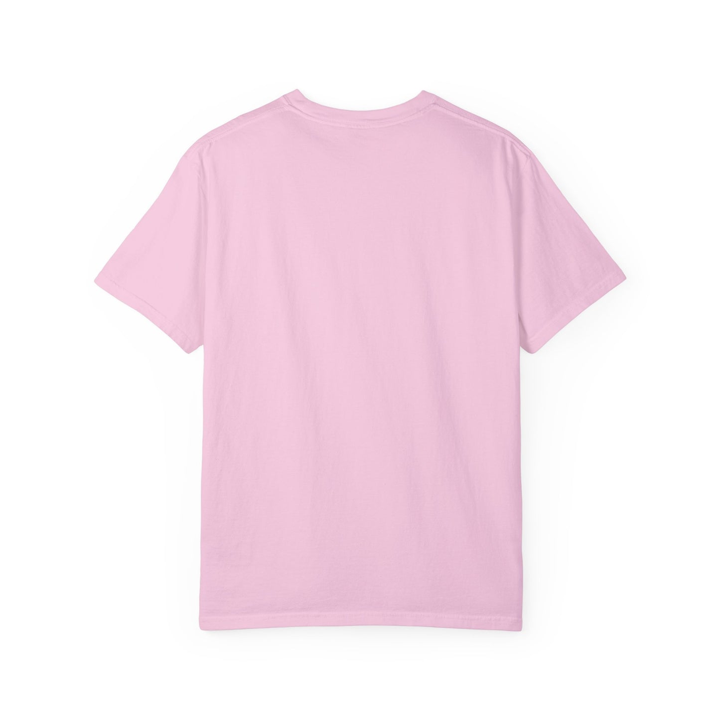 Unisex Garment-Dyed T-shirt - Fart Smella