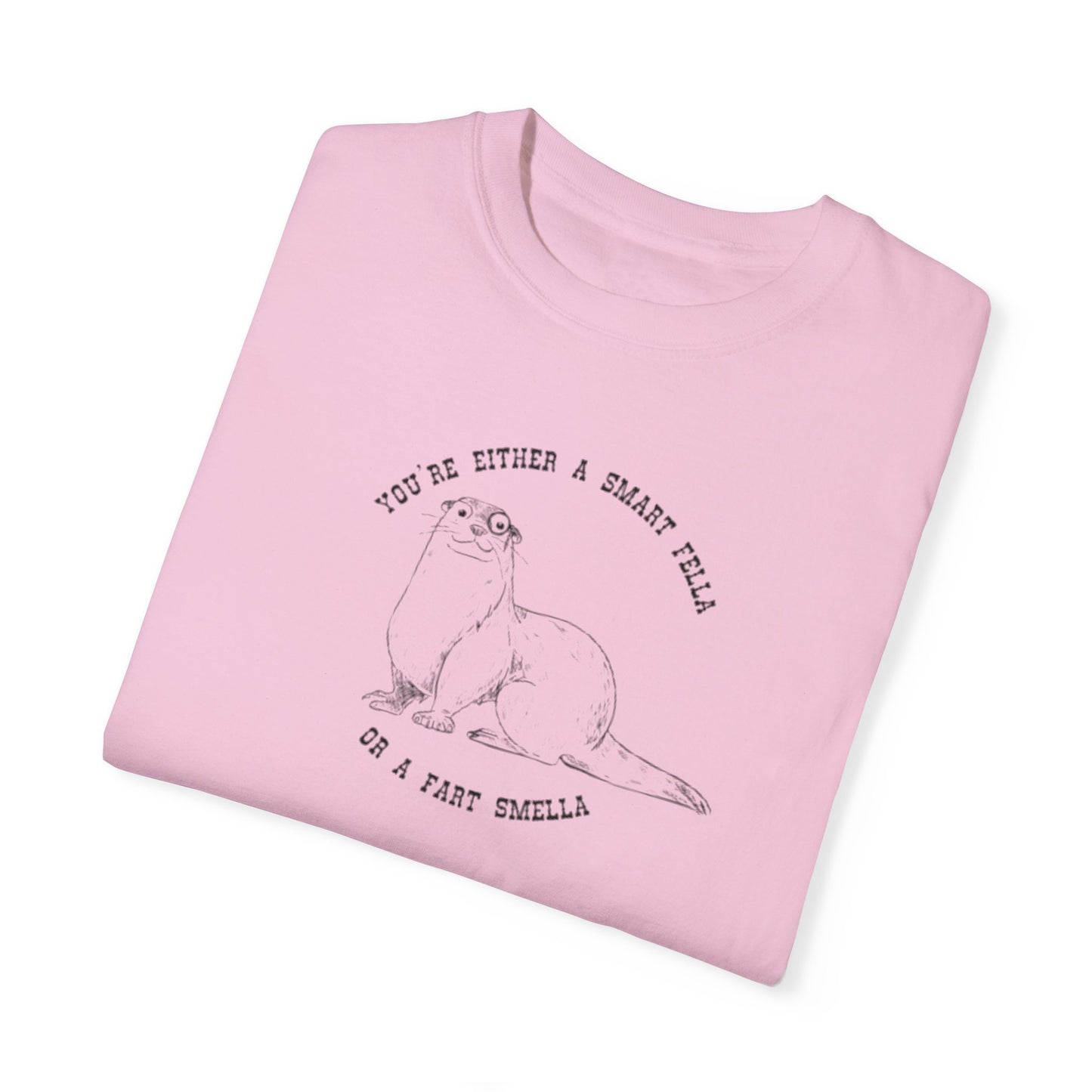 Unisex Garment-Dyed T-shirt - Fart Smella