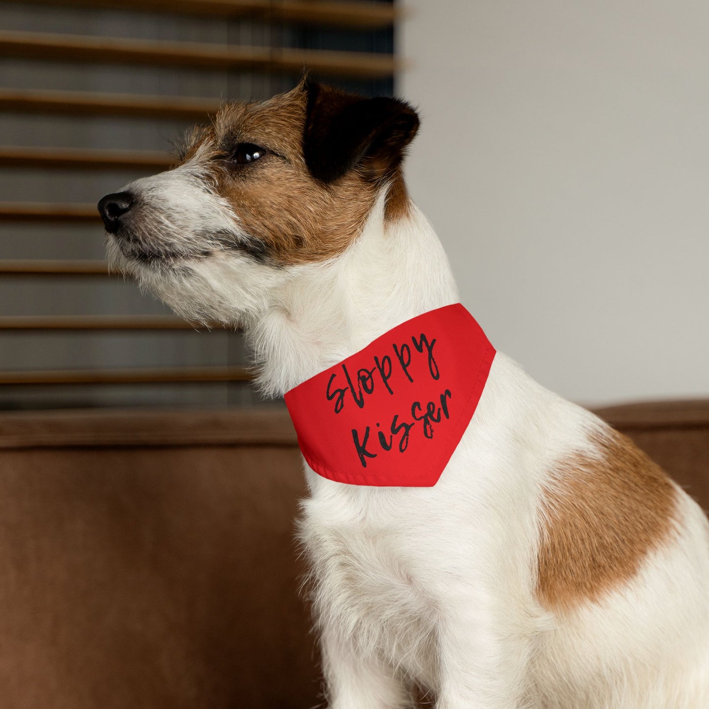 Pet Bandana Collar Fire Engine Red - Sloppy Kisser