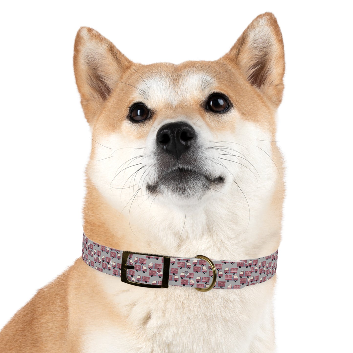 Dog Collar - Fire Trucks - Gry