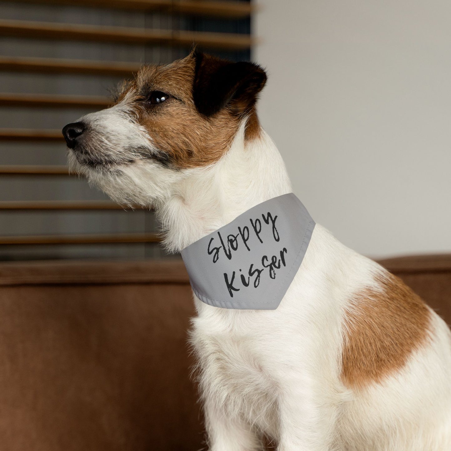 Pet Bandana Collar Grey - Sloppy Kisser