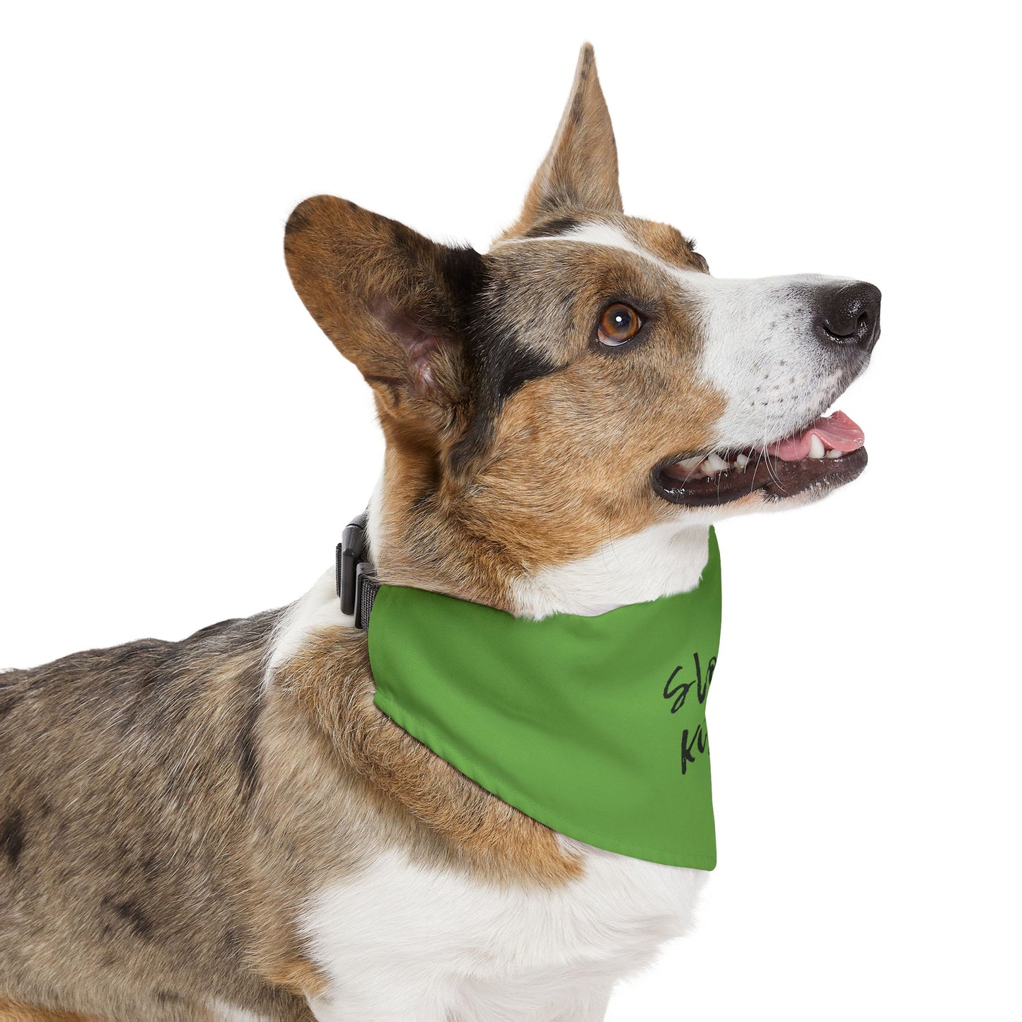 Pet Bandana Collar Green - Sloppy Kisser