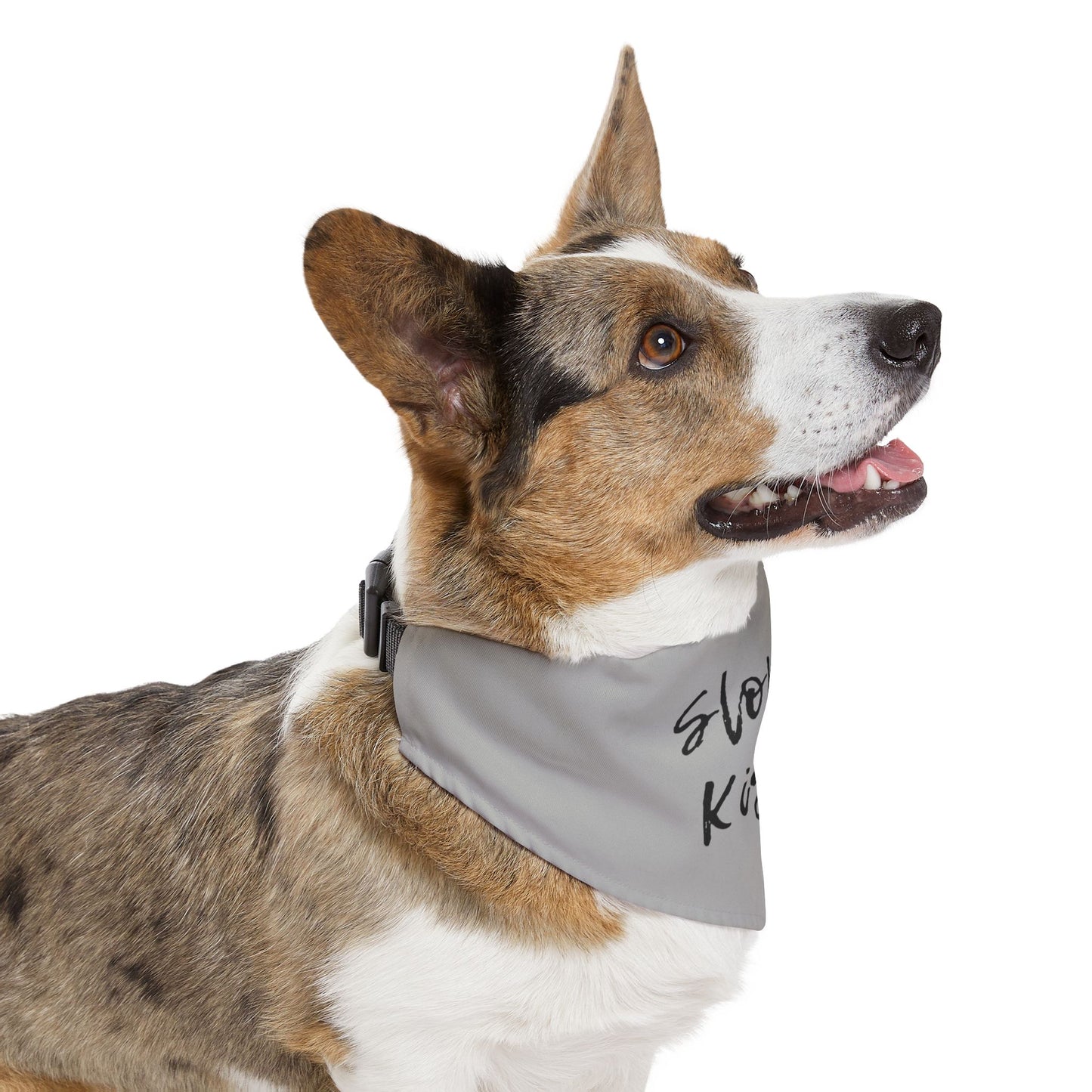 Pet Bandana Collar Grey - Sloppy Kisser