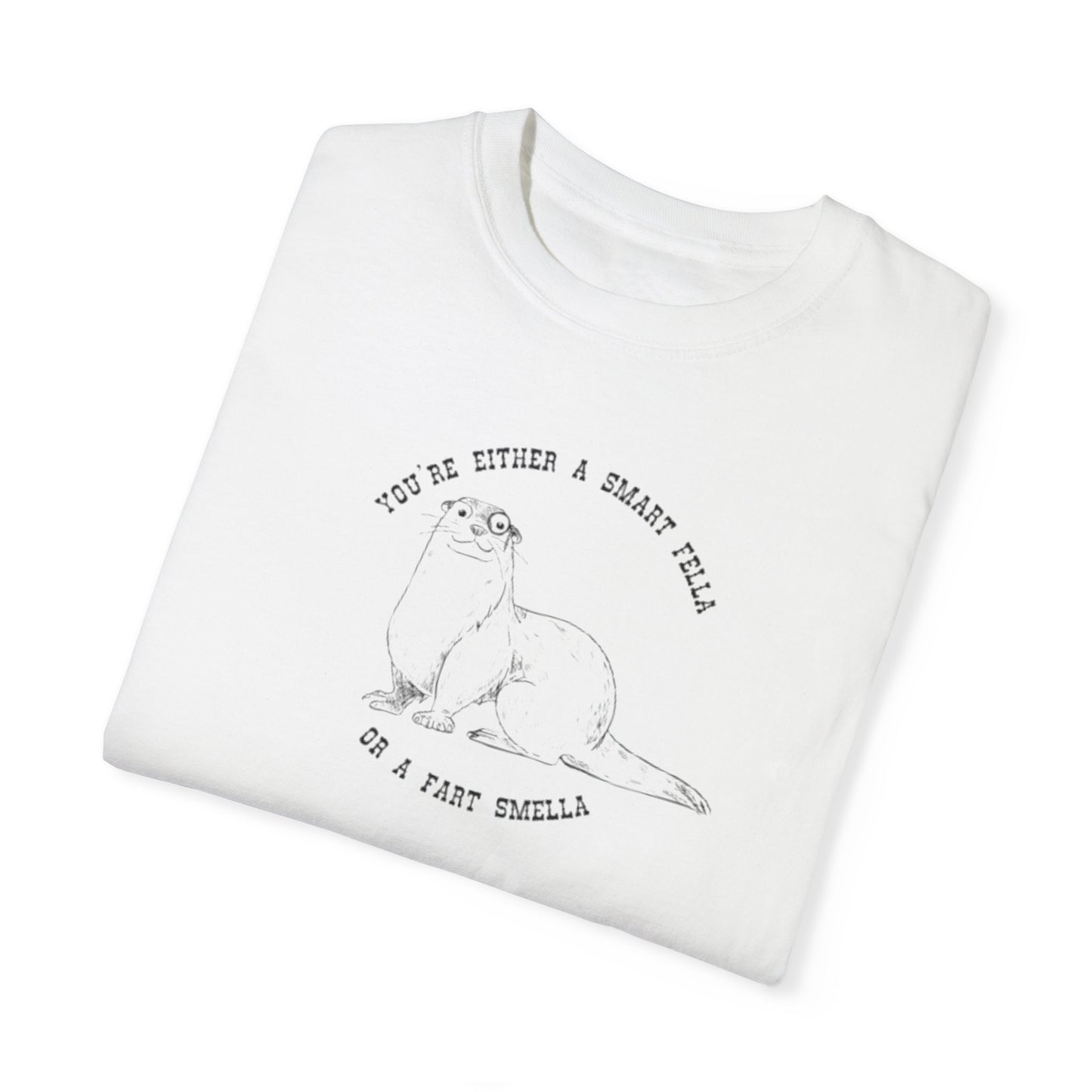 Unisex Garment-Dyed T-shirt - Fart Smella