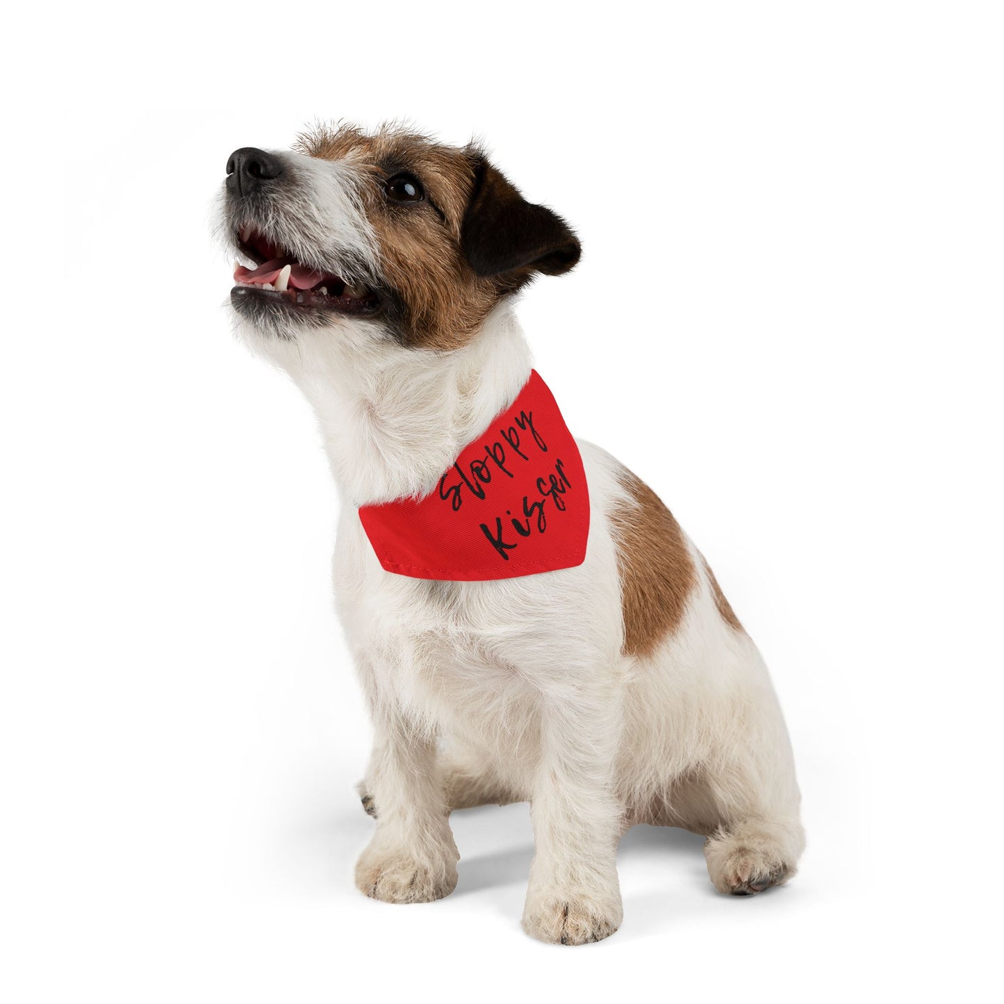 Pet Bandana Collar Fire Engine Red - Sloppy Kisser