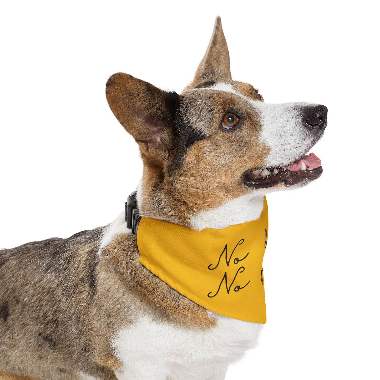 Pet Bandana Collar Marigold - No Flaws No Balls