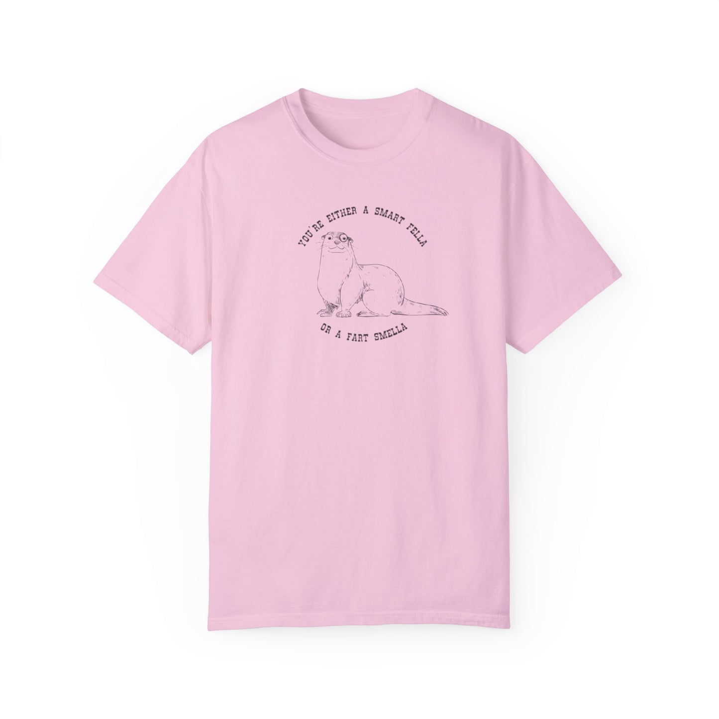 Unisex Garment-Dyed T-shirt - Fart Smella