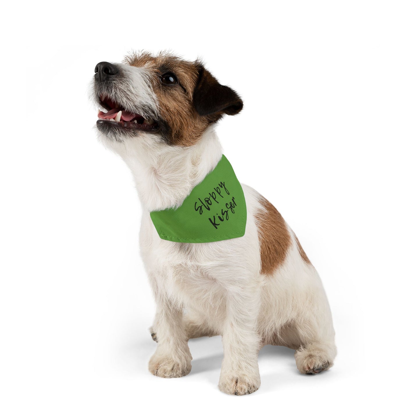 Pet Bandana Collar Green - Sloppy Kisser