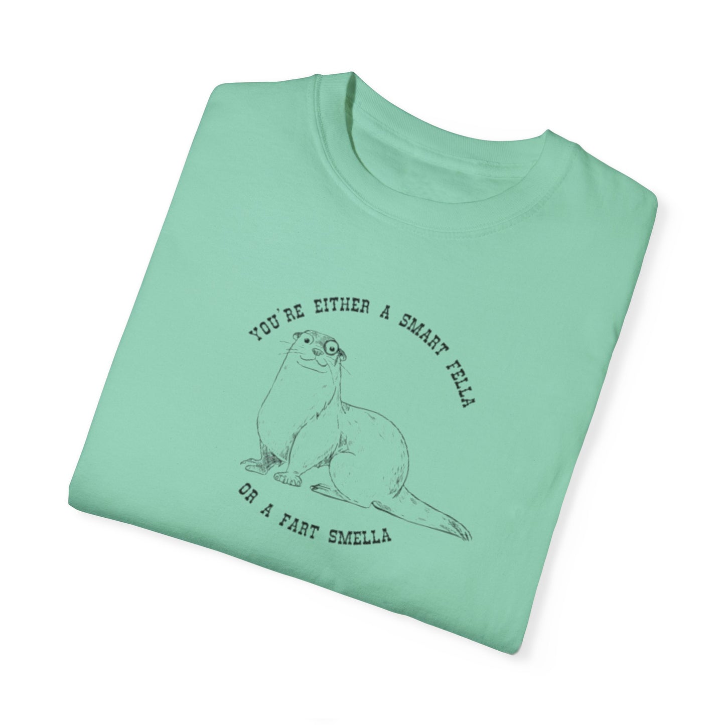 Unisex Garment-Dyed T-shirt - Fart Smella