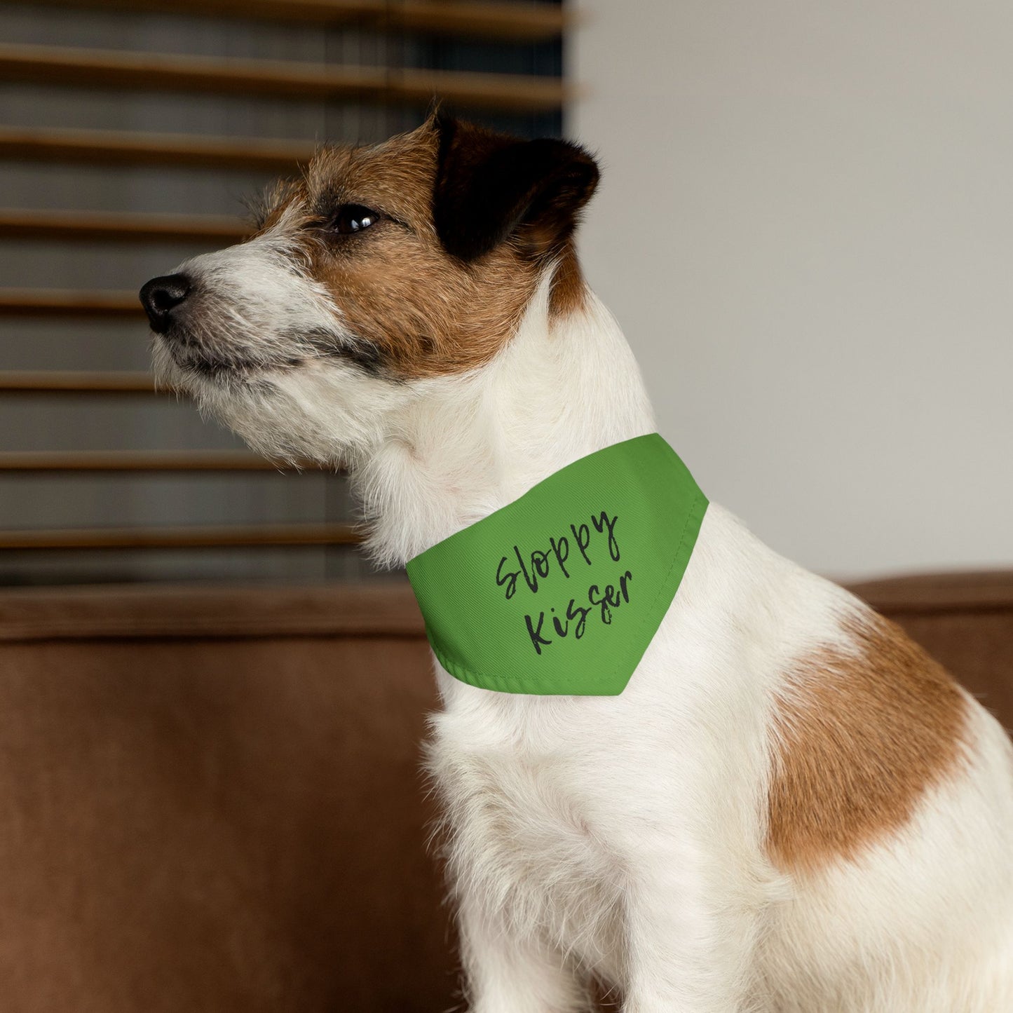 Pet Bandana Collar Green - Sloppy Kisser