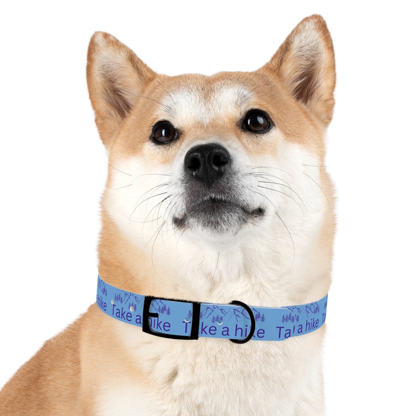 Take a Hike Dog Collar - Teal and Purple