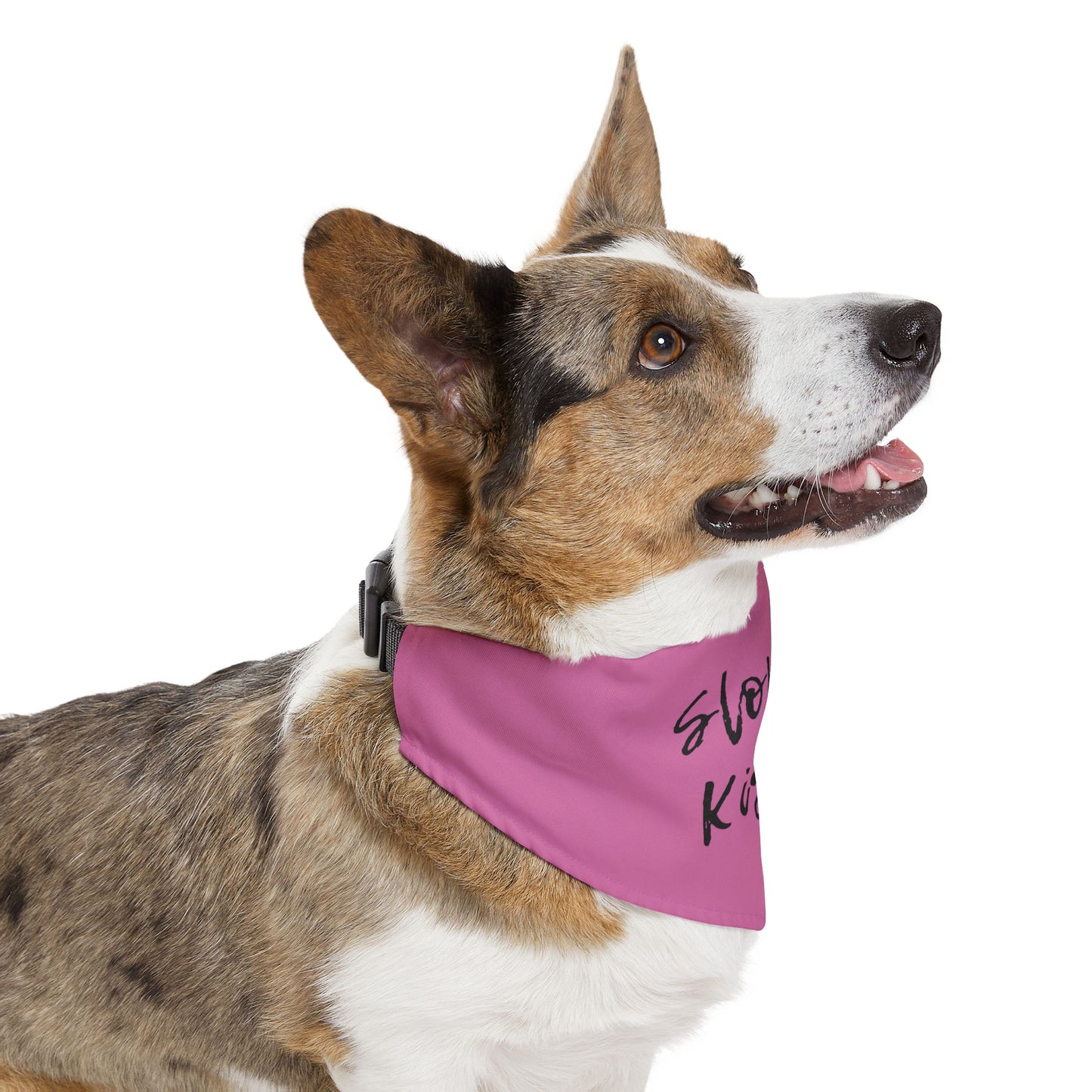 Pet Bandana Collar - Sloppy Kisser