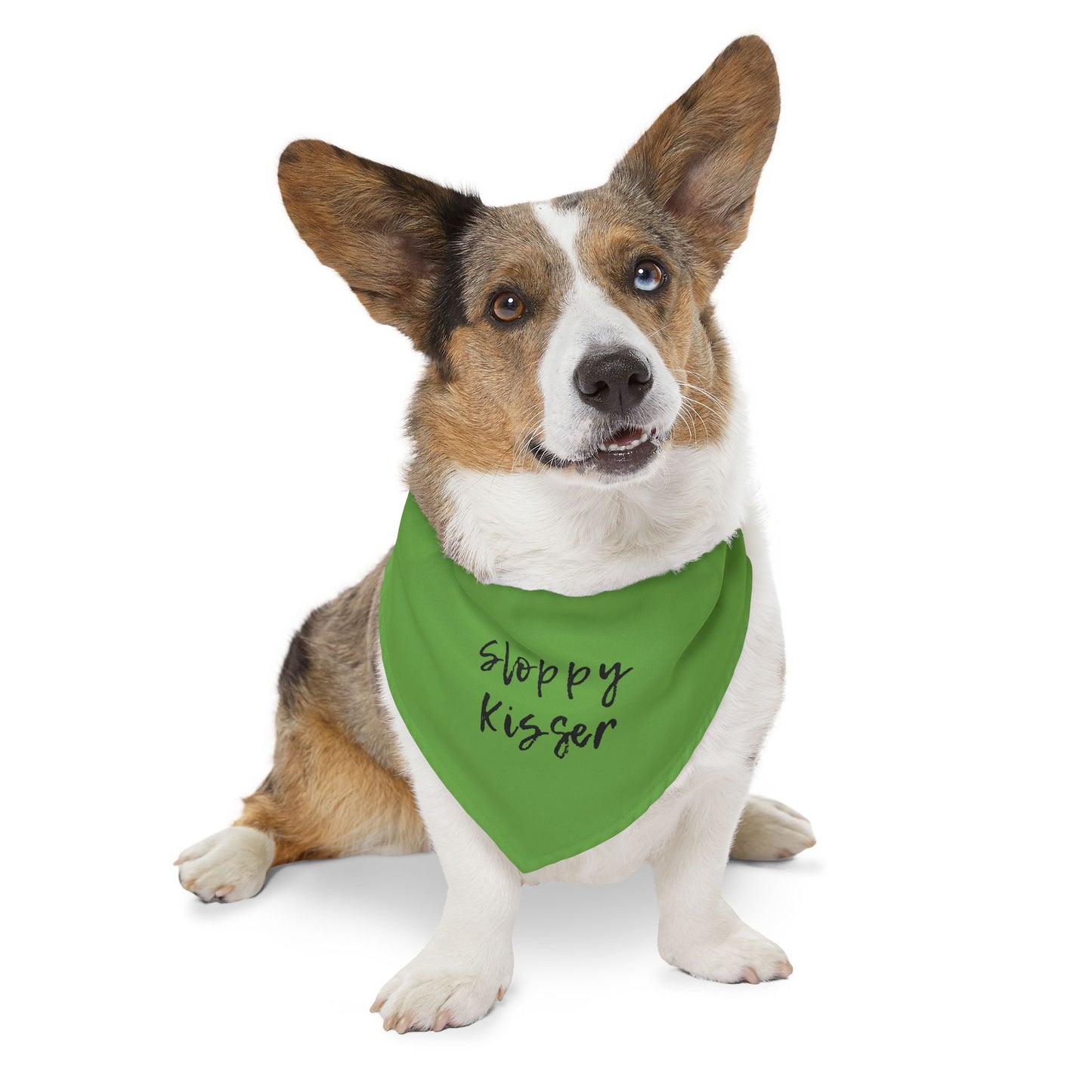 Pet Bandana Collar Green - Sloppy Kisser