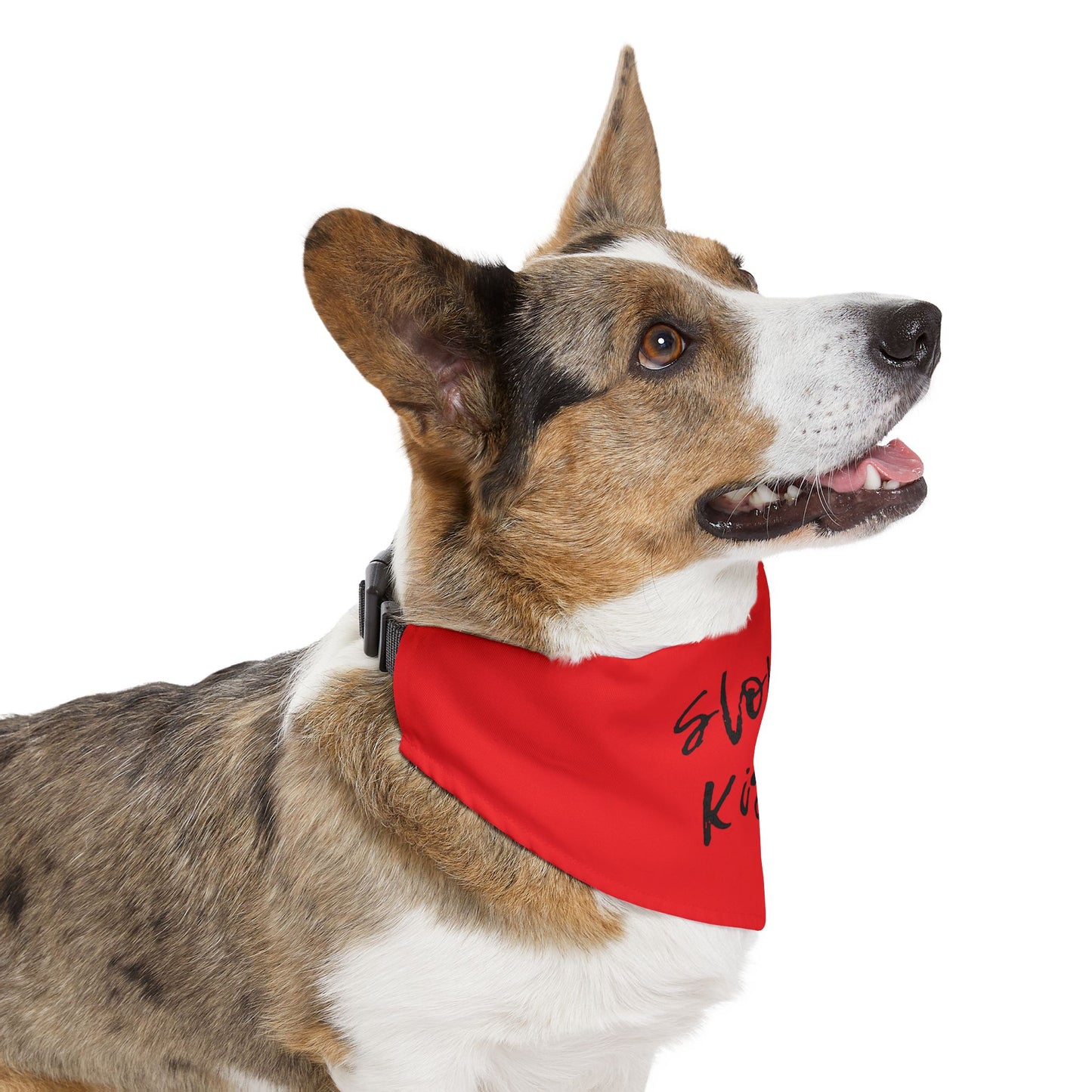 Pet Bandana Collar Fire Engine Red - Sloppy Kisser