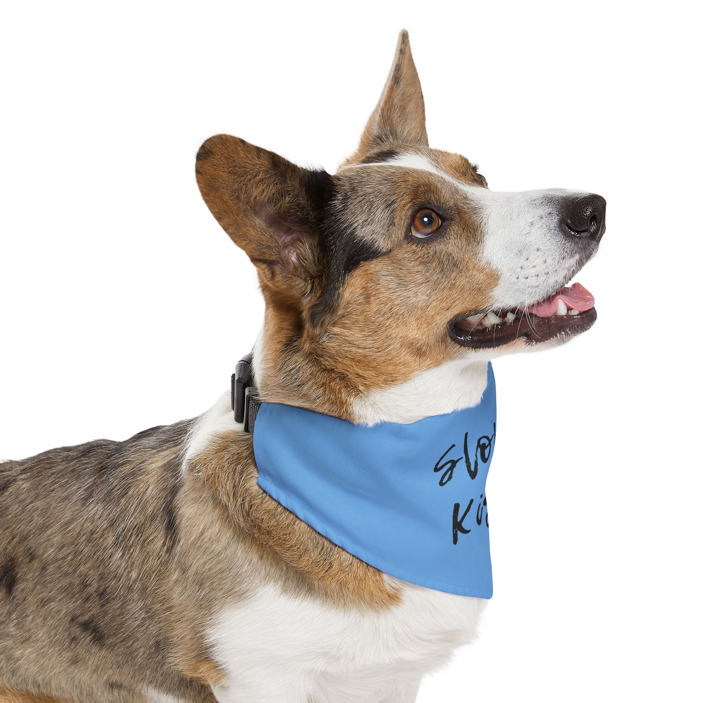 Pet Bandana Collar Teal - Sloppy Kisser