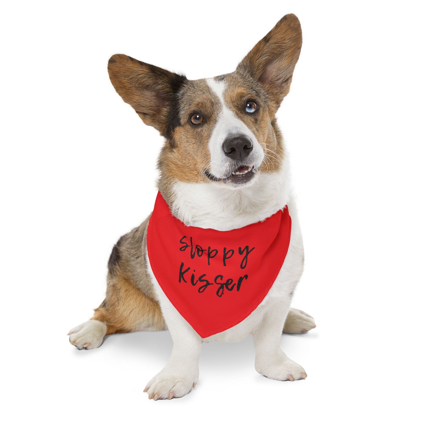 Pet Bandana Collar Fire Engine Red - Sloppy Kisser