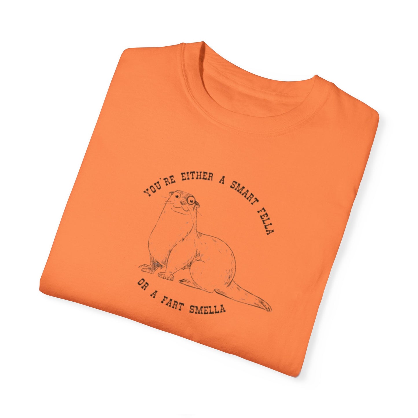 Unisex Garment-Dyed T-shirt - Fart Smella