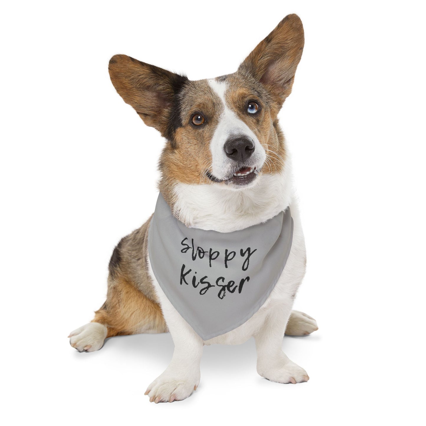 Pet Bandana Collar Grey - Sloppy Kisser